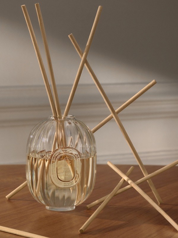 1744606185146879.jpg 【新闻稿】以多元规格打造诗意氛围,diptyque推出全新室内扩香摆件2.jpg